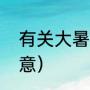 有关大暑的诗词（大暑古诗宋曾几诗意）