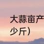 大蒜亩产量是多少（大蒜亩产一般多少斤）