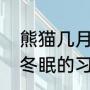 熊猫几月开始冬眠（大熊猫什么时候冬眠的习性）