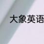 大象英语读音（大象的英文单词）