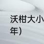 沃柑大小年是什么意思（什么是大小年）