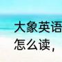 大象英语的缩写是什么（大象的英语怎么读，求语音）