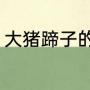 大猪蹄子的意思（大猪蹄子方言意思）