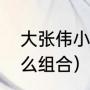 大张伟小小的人是什么歌（大张伟什么组合）