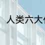 人类六大代言词（代言词什么意思）