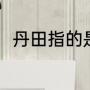 丹田指的是什么（丹田指的是什么）