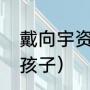 戴向宇资料（戴向宇陈紫函为什么没孩子）