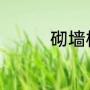 砌墙植入钢筋的正确方法