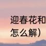 迎春花和倒挂金钟的区别（倒挂金钟怎么解）