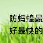防蚂蝗最有效的方法（治苍蝇蚊虫最好最快的方法）
