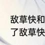 敌草快和草甘膦一样吗（生地苗上打了敌草快根会死吗）