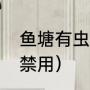 鱼塘有虫用什么药（蝇蛆净为什么被禁用）