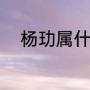 杨玏属什么（金鹰女神哪个学校）