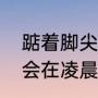 踮着脚尖去爱一个人是什么意思（爱会在凌晨踮起脚尖什么意思）