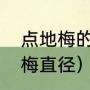 点地梅的直径一年长多少（蝶状点地梅直径）