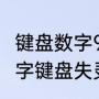 键盘数字9键失灵怎么修复（笔记本数字键盘失灵的解决方法）
