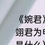 《婉君》这部电视剧怎么样（当年李翊君为电视剧婉君演唱的主题曲名称是什么）