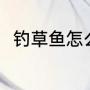 钓草鱼怎么打窝（钓草鱼怎么打窝）