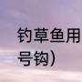 钓草鱼用多大的钩（串钩钓草鱼用几号钩）