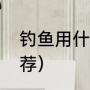 钓鱼用什么打窝料最好（野钓窝料推荐）