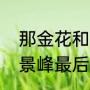 那金花和她的女婿保安救人哪一集（景峰最后和谁在一起）