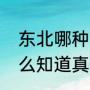 东北哪种黑的木耳好（东北秋木耳怎么知道真假）
