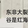 东非大裂谷位于哪个板块（东非大裂谷是红海吗）