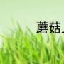 蘑菇上的这些白点是什么