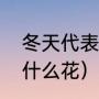 冬天代表性的十种植物（冬天地上有什么花）