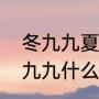冬九九夏九九什么意思（日历表上的九九什么意思）