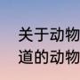 动词和过去式有哪些（动词过去式名词解释）