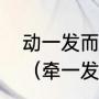 动一发而牵全身还是牵一发而动全身（牵一发而动全身打3个数字）