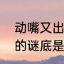 动嘴又出力这是什么字（动嘴又出力的谜底是什么）