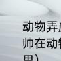 动物弄虚作假有哪几种类行（舍车保帅在动物的弄虚作假一文中是什么意思）