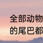 全部动物的尾巴各有什么作用（动物的尾巴都有什么功用）