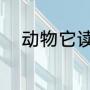 动物它读什么（动物的英语读音）
