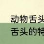 动物舌头的特点和作用是什么（动物舌头的特点和功能）