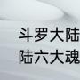 斗罗大陆一共有多少种魂骨（斗罗大陆六大魂骨排名）