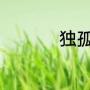 独孤九剑是什么意思啊