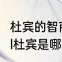 杜宾的智商相当于人类几岁（michael杜宾是哪家犬舍的）