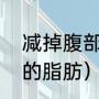 减掉腹部赘肉的方法（怎么减肚子里的脂肪）