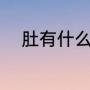 肚有什么组词（肚的组词有什么）
