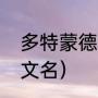 多特蒙德最新转会消息（幽兰戴尔英文名）