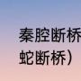 秦腔断桥剧情介绍（只狼怎么触发白蛇断桥）
