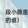 段小薇是88年的吗（段小薇是王鹤棣的谁）