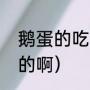 鹅蛋的吃法（鹅蛋的最佳吃法怎么吃的啊）