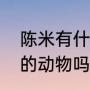 陈米有什么特点蚂蚁庄园（熊是有害的动物吗蚂蚁庄园）