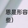 恩是形容词吗（有关感恩的词语有哪些）