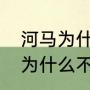 河马为什么会阻止鳄鱼吃东西（鳄鱼为什么不咬河马）