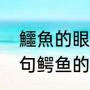 鱷魚的眼淚怎么解釋（男朋友发了一句鳄鱼的眼泪是什么意思）